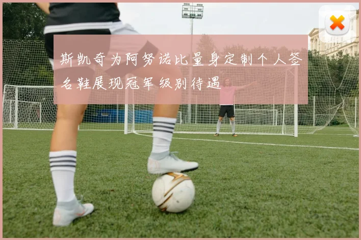 斯凯奇为阿努诺比量身定制个人签名鞋展现冠军级别待遇